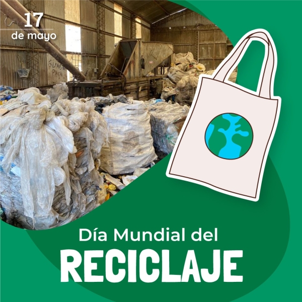 17 de mayo, Día Mundial del Reciclaje: Cada pequeño gesto cuenta para cuidar nuestro planeta.